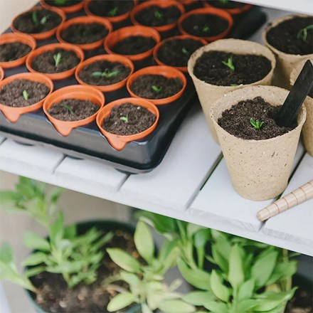 20-Cell Half Seed and Cutting Tray | Compact Starter Pots for Seedlings