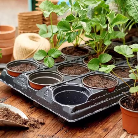 18-Cell Growing Tray | Durable Starter Pots for Seedlings & Plants