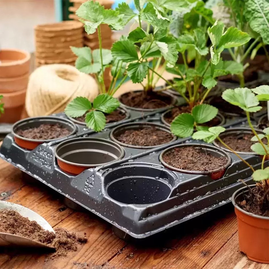Propagation