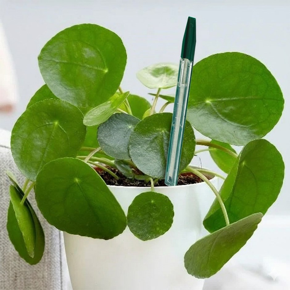 3-Pack Plantpak Water & Moisture Check Sensors | Soil Moisture for Plants