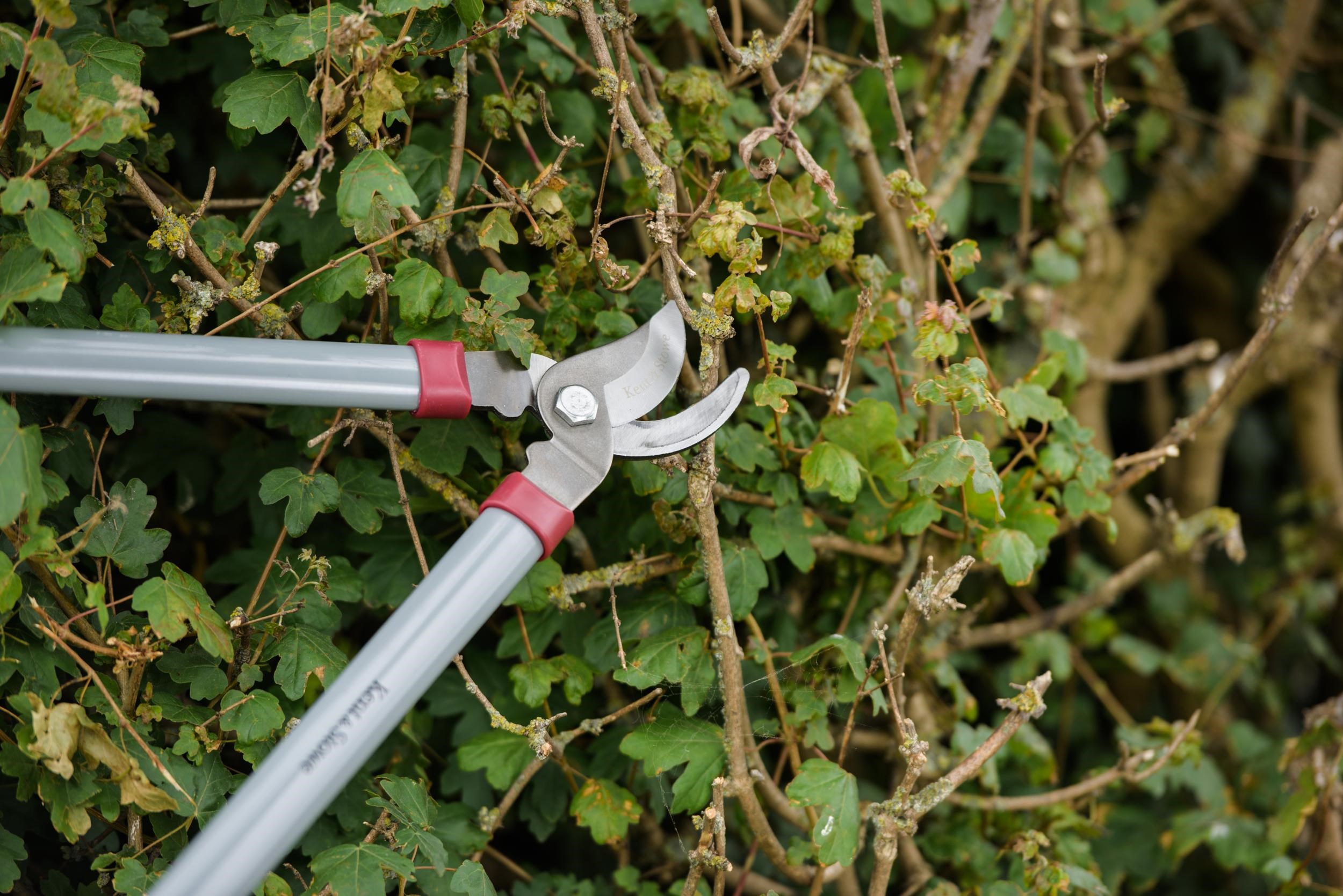 66.5cm General Purpose Garden Loppers by Kent & Stowe