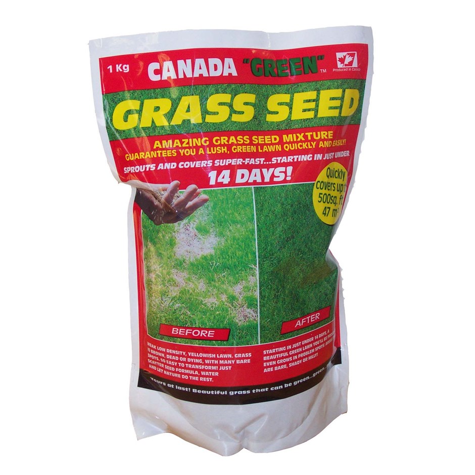 Canada Green Lawn Seed