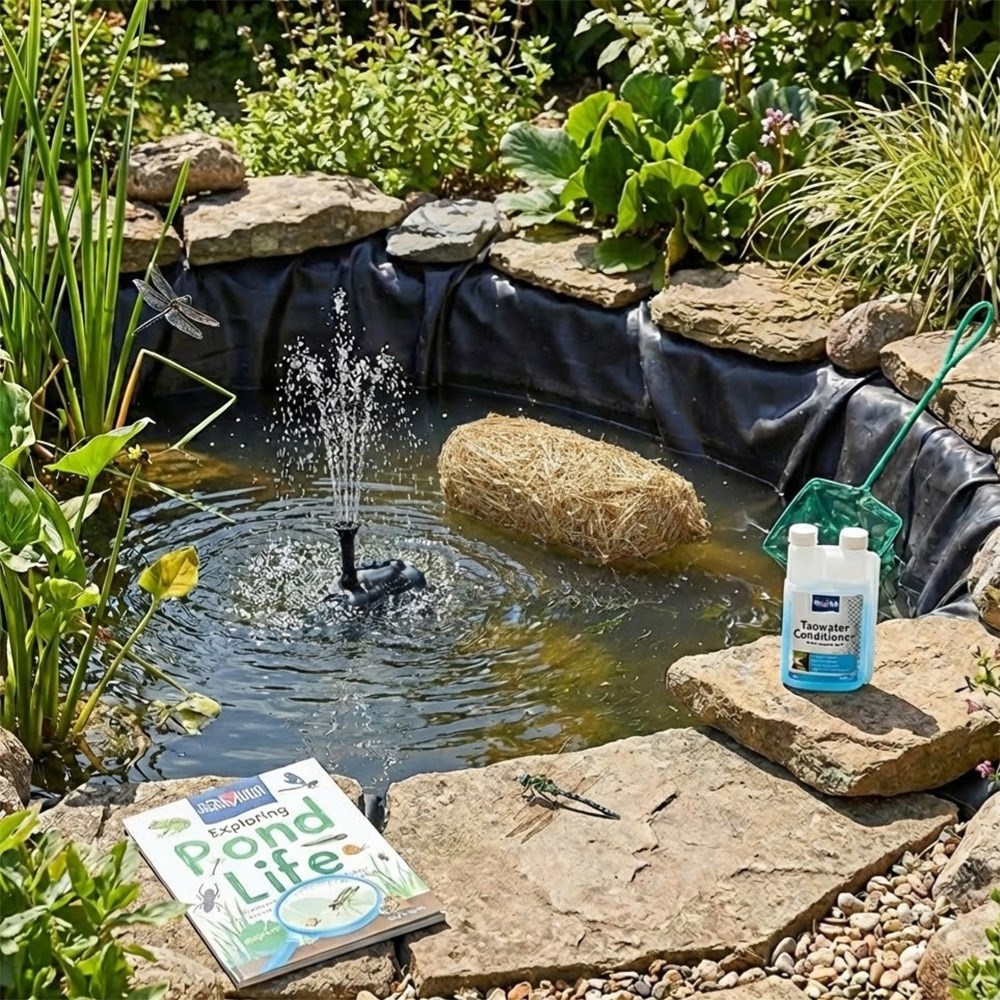Bermuda My First Pond Kit