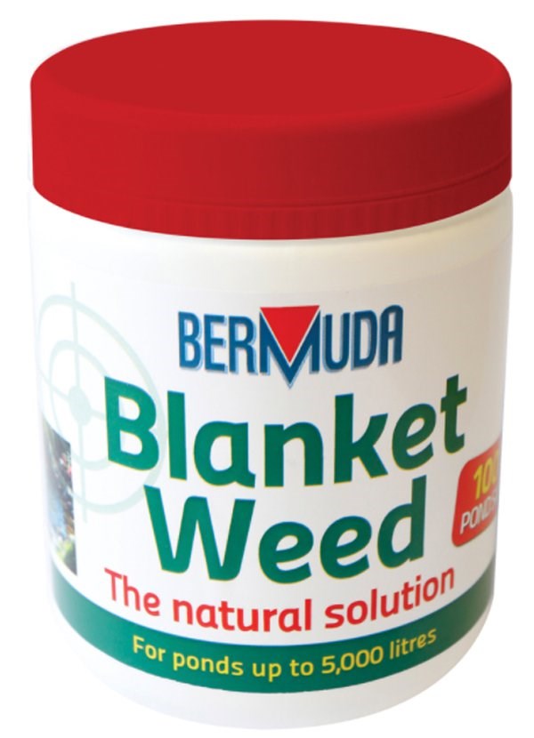 Bermuda Blanketweed Pond Treatment