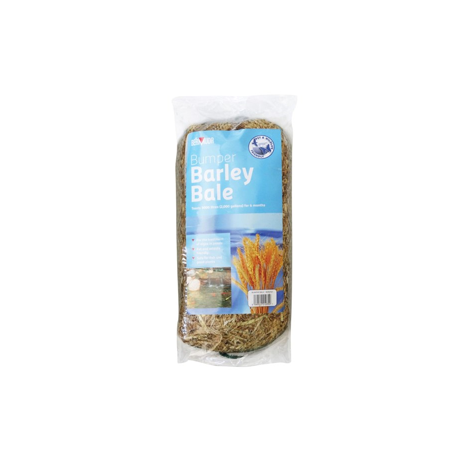 Bermuda Barley Straw Bale Pond Treatment