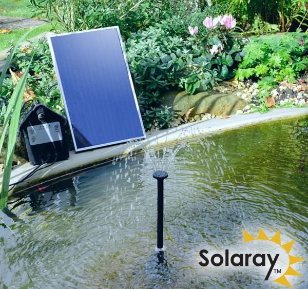 Primrose sales solar lights