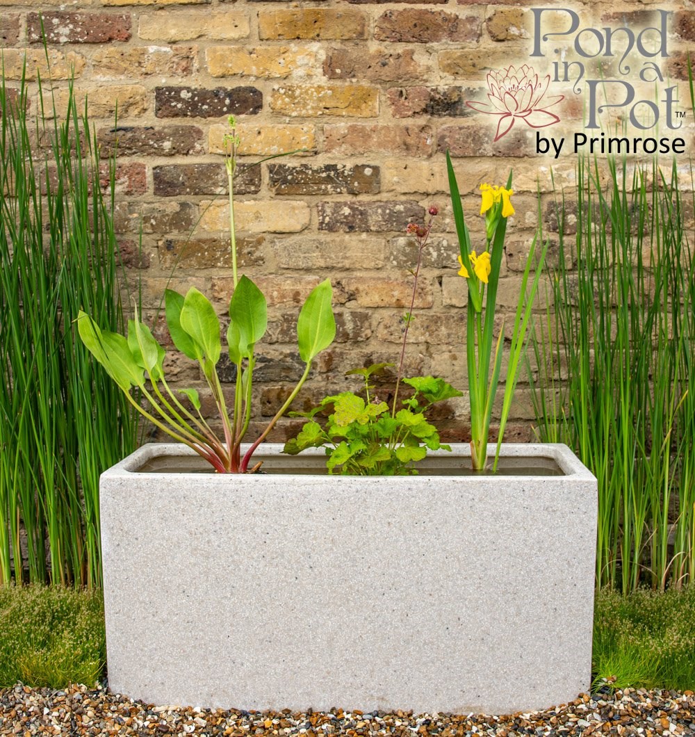 Pond In A Pot White Fibreglass Trough Planter