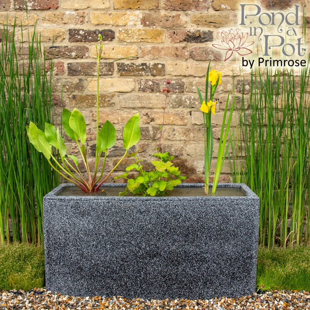 Pond In A Pot Black Fibreglass Trough Planter