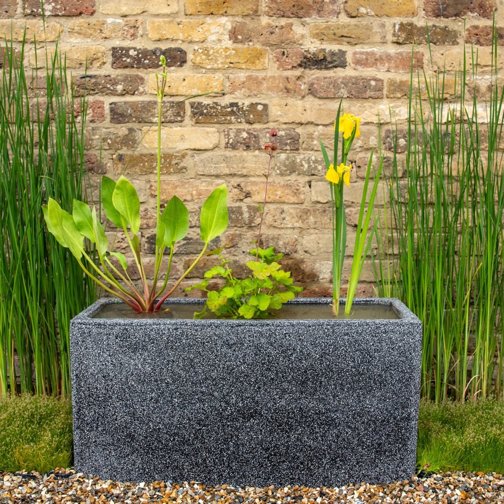 W80cm 'Pond in a Pot' Trough Black Fibreglass Planter Outdoor Use