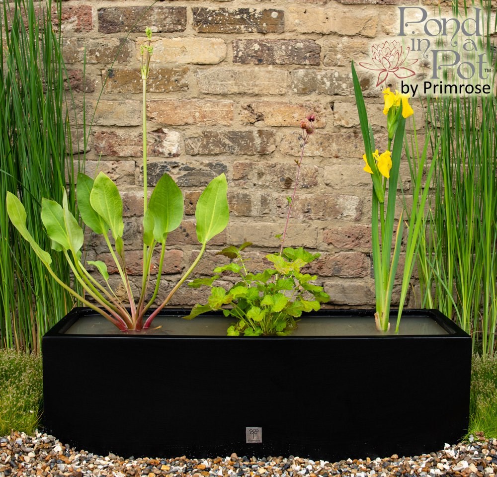 Pond In A Pot Matt Black Fibreglass Trough Planter