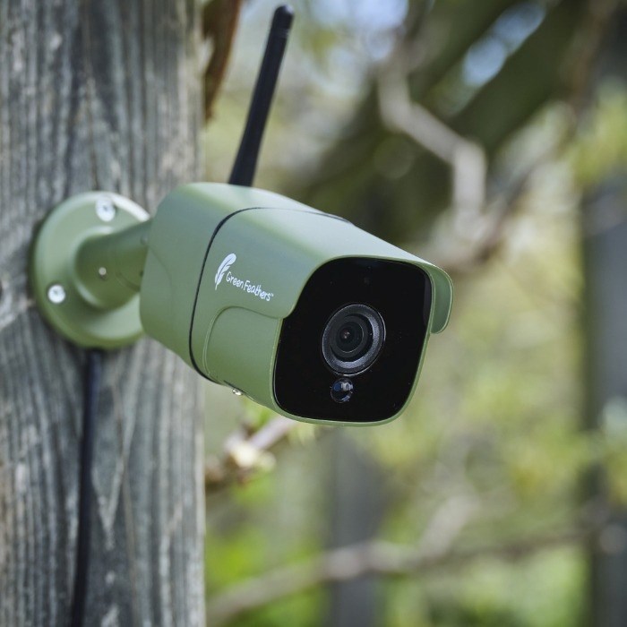 Green Feathers Wildlife Wifi Bullet Camera 2Mp Watch Feeders Or Bat Boxes On You