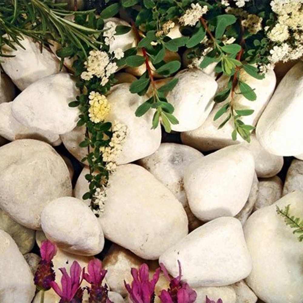 Coral White Pebbles 20-40mm Decorative Stone