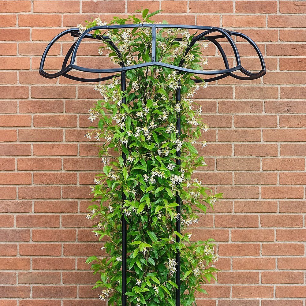 Large Tuteur Metal Plant Support