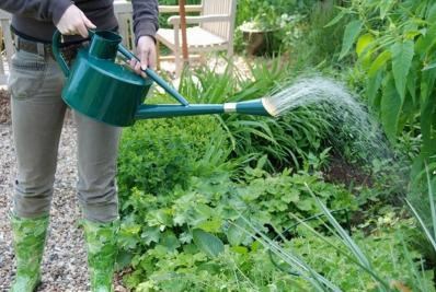 63.5 Cm (2Ft 1 In) Long Spout Watering Can