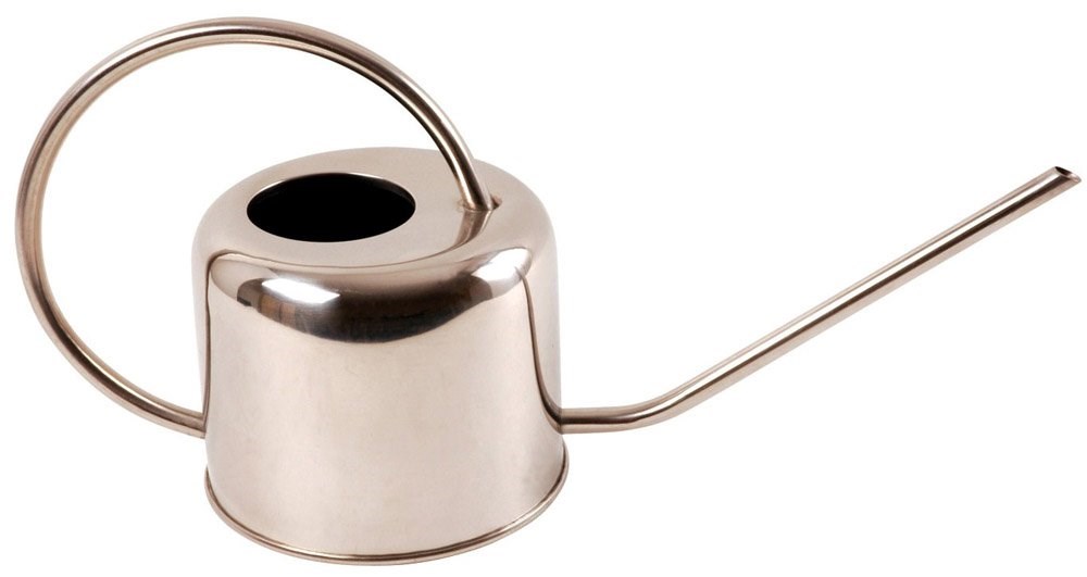 Large Stainless Steel Watering Can