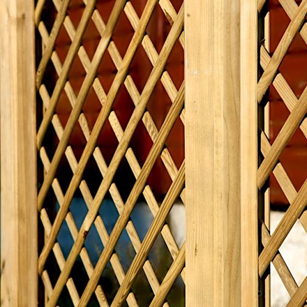 English Primrose Wall Trellis Screening 6ft x 1ft to 6ft x 6ft