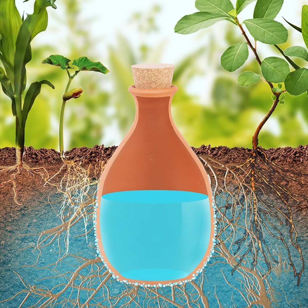 Terracotta Olla Irrigation Pot