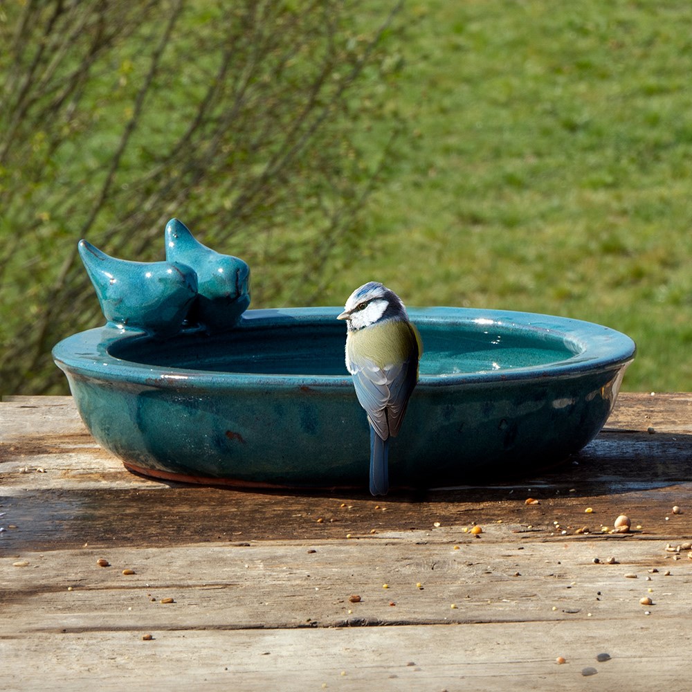 20% Off Selected Bird Baths