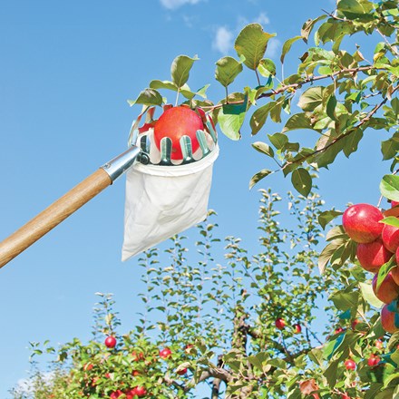 Fruit Picker with Catch Bag