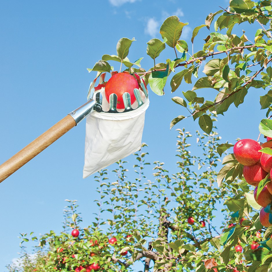 Fruit Picker