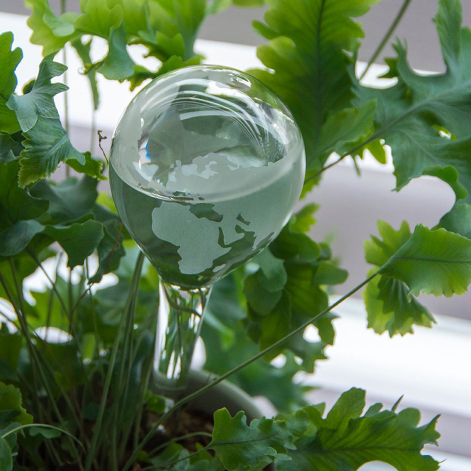 Aquaglobe Plant Watering