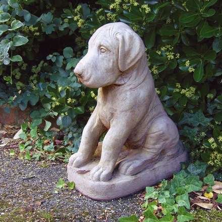 Garden Ornament | Dane Puppy