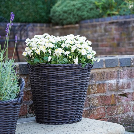 Polyrattan Willow Lined Outdoor Basket Planter