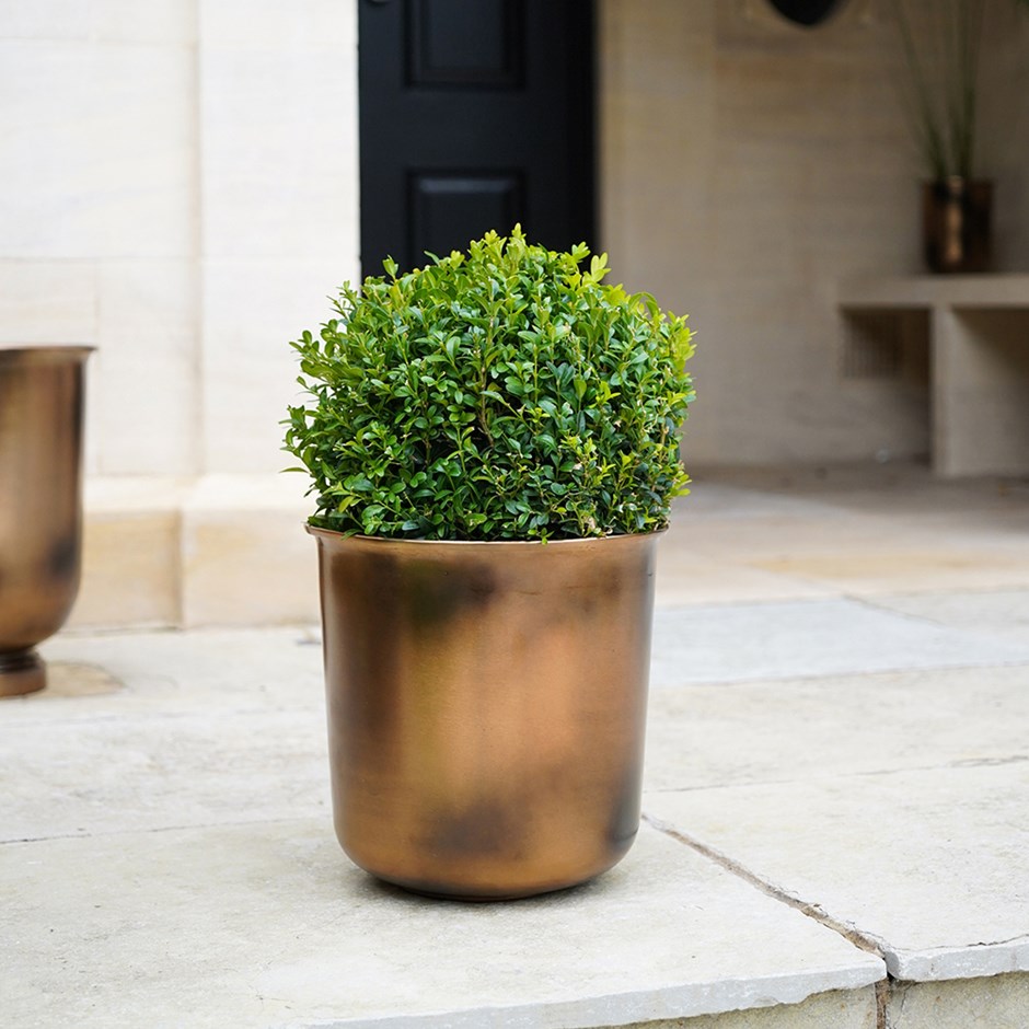 Small Planters