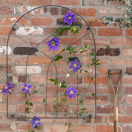 Outdoor Steel Arch Trellis in Zinc | H80cm W100cm