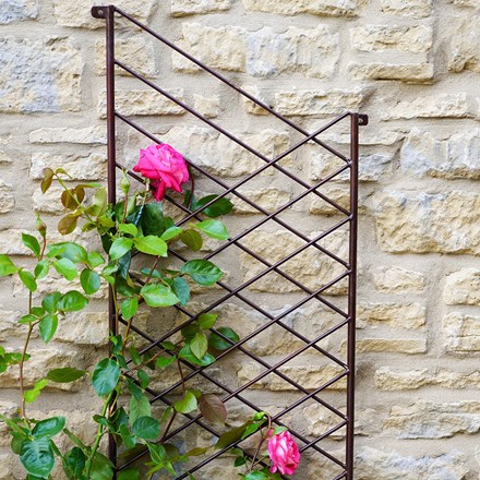 Outdoor Steel Linear Trellis in Bronze | H100cm X W44cm