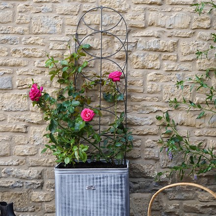 Outdoor Steel Cylinder Trellis in Zinc | H125cm x W36cm