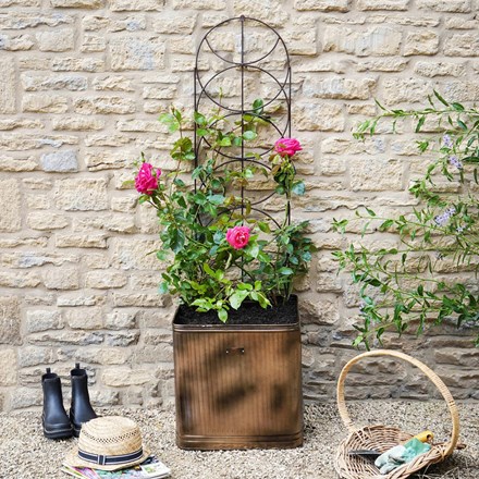 Outdoor Steel Cylinder Trellis in Bronze | H125cm x W36cm