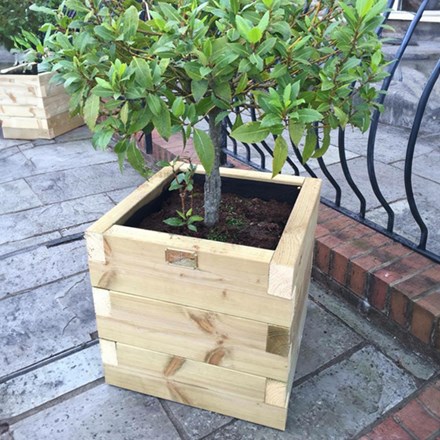 Devonshire Trough Planter | Natural | Wood | Square | L40 x H40 cms