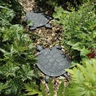 Turtle Stepping Stone Garden Paving Decor | Cast Iron
