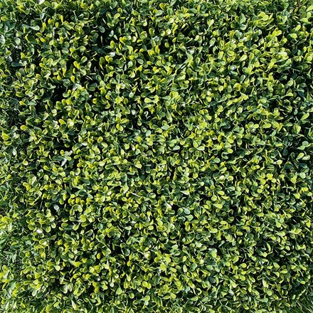 Artificial Yellow Boxwood Screening| Single Panel | Green | 50 x 50 cms