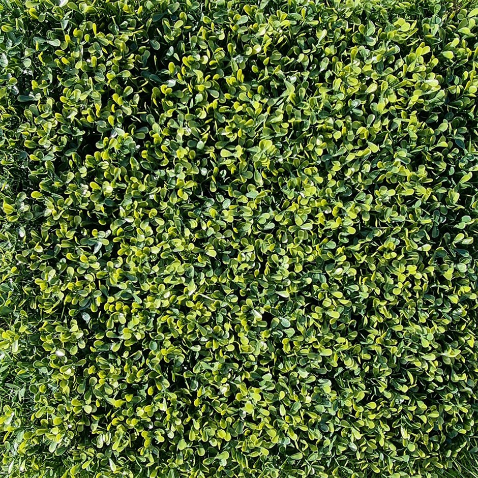 Light Boxwood Artificial Hedge Screening Panel