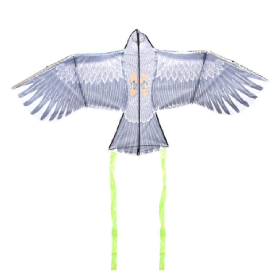 Bird Scarer
