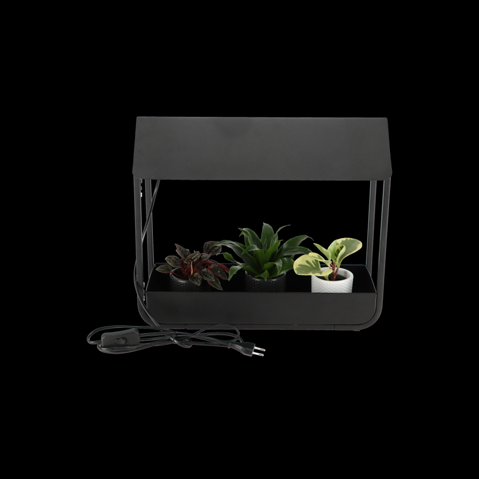 Black Grow Lamp 36.5 cms