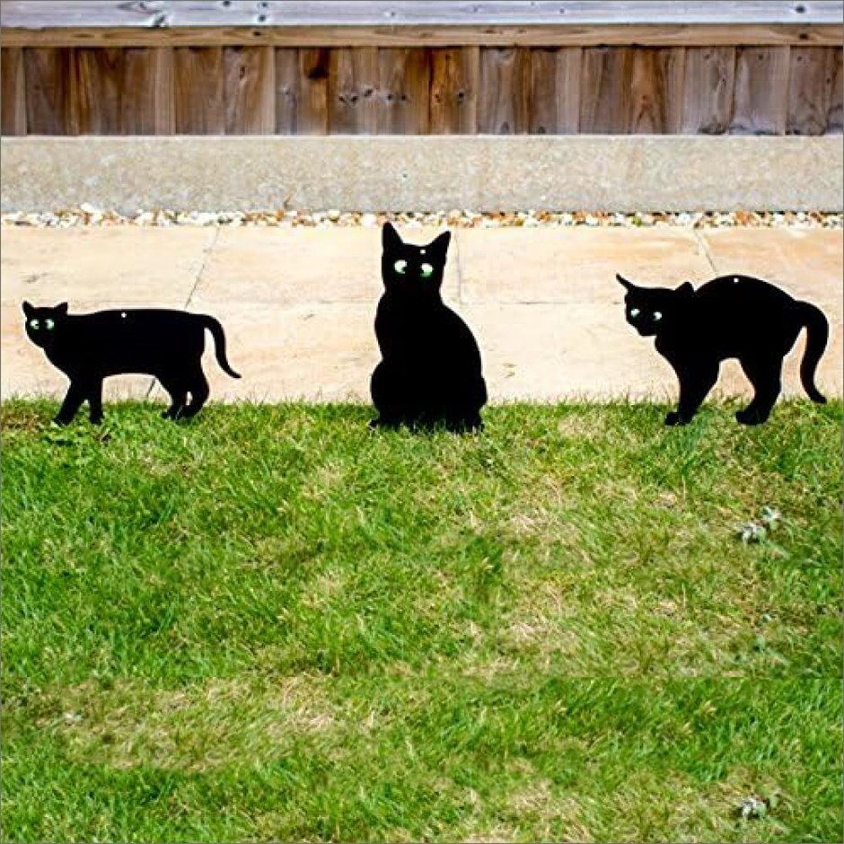 Cat Repeller Kit