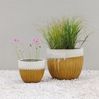 Yellow Ribbed Two-Tone Glazed Round Planter