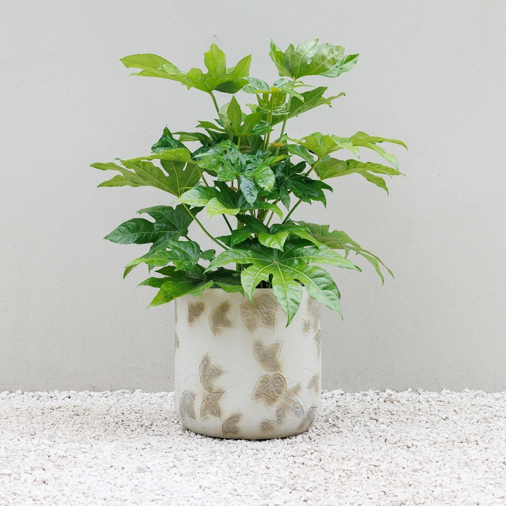 Natural Stone Effect Leaf Pattern Round Planter