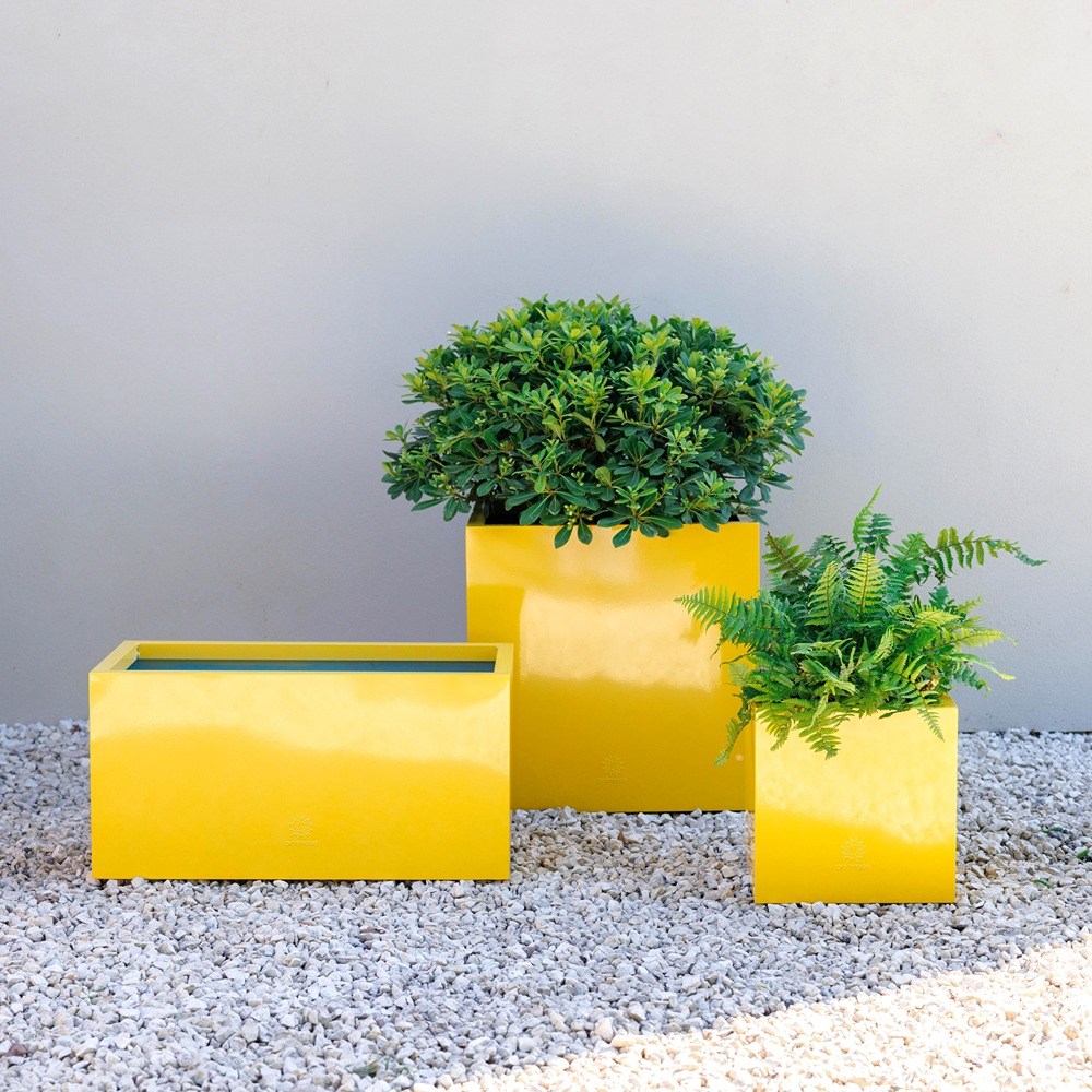 Yellow Zinc Galvanised Cube Planter