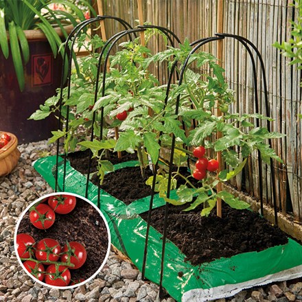 Grow Bag Cane Support Frame Pack of 3 | Grow It