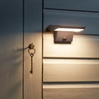 Sentry 800 Lumen Solar PIR Motion Sensor LED Security Light by Smart Garden 
