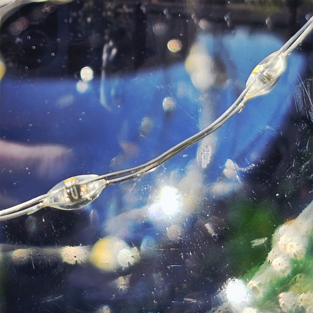 Set of 20 Galaxy Festoon Warm White String Lights by Smart Garden