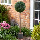Artificial Topiary Ball Tree 120cm