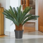 Artificial Sago Palm Plant Indoor 68cm