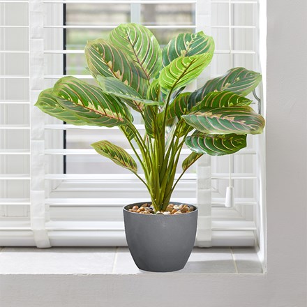 Artificial Prayer Plant Indoor 35cm