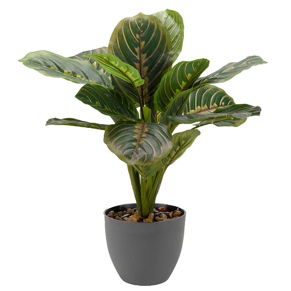 Artificial Prayer Plant Indoor 35cm