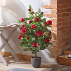 Regent's Roses Ruby Red Artificial Plant 80cm